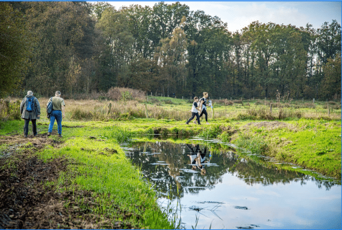 Promopakket ODS-Wandeling