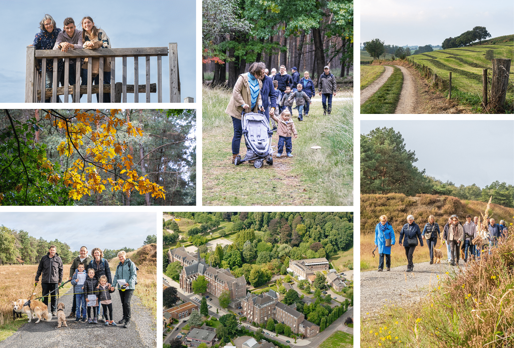Featured image wandeling 2026